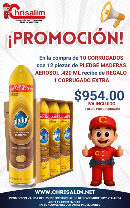 Promociones pagina 450 x 720 px (1)